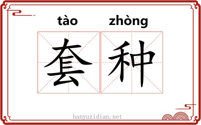 套种 套种