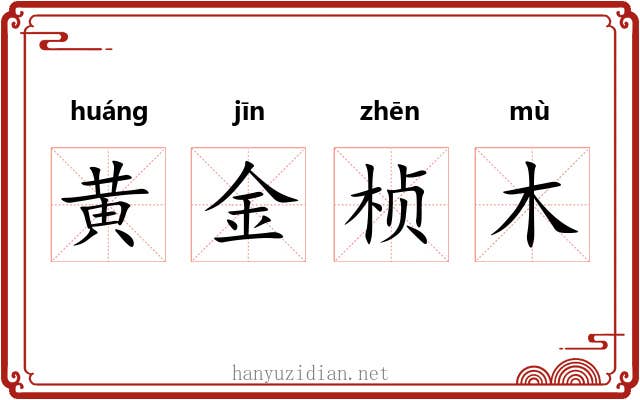 黄金桢木 黄金桢木