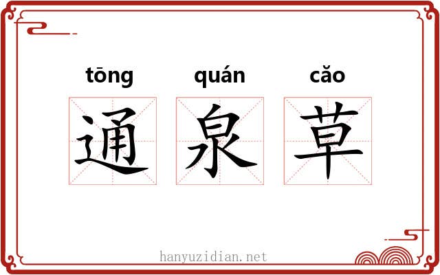 通泉草 通泉草