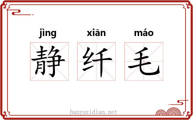 静纤毛 静纤毛