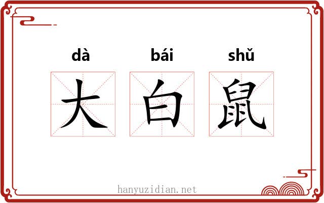 大白鼠 大白鼠