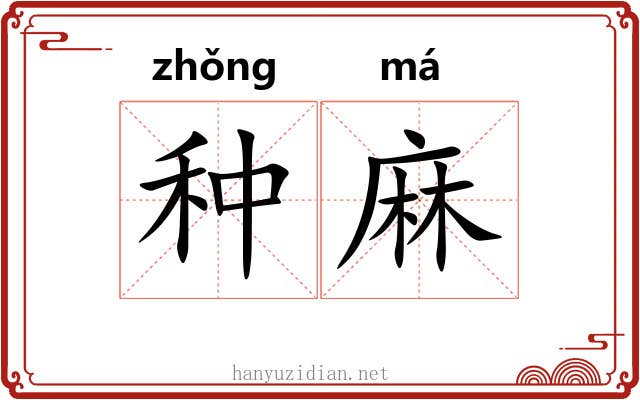 种麻 种麻