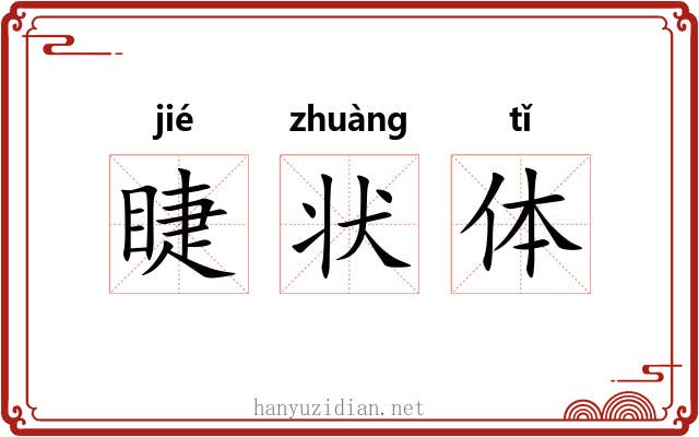 睫状体 睫状体