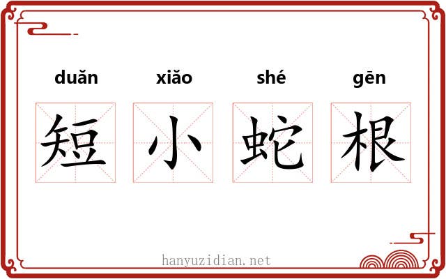 短小蛇根 短小蛇根