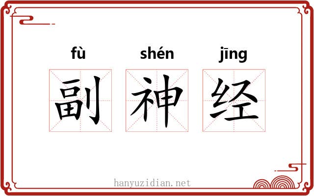 副神经 副神经