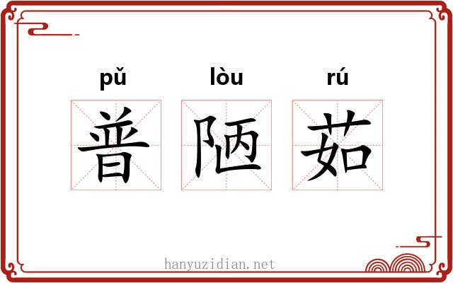 普陋茹