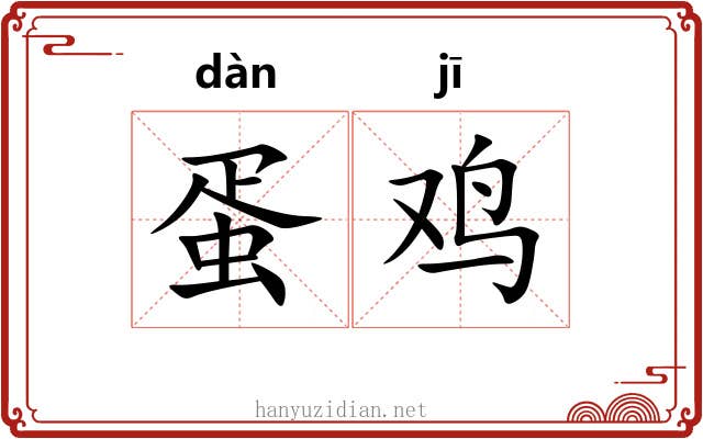 蛋鸡