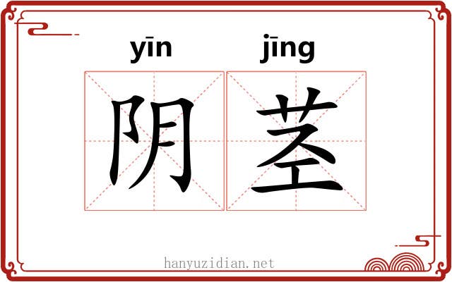 阴茎 阴茎