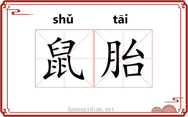 鼠胎