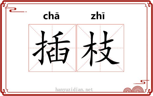 插枝