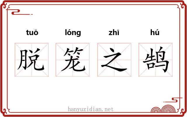 脱笼之鹄 脱笼之鹄