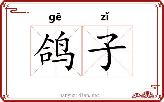 鸽子 鸽子