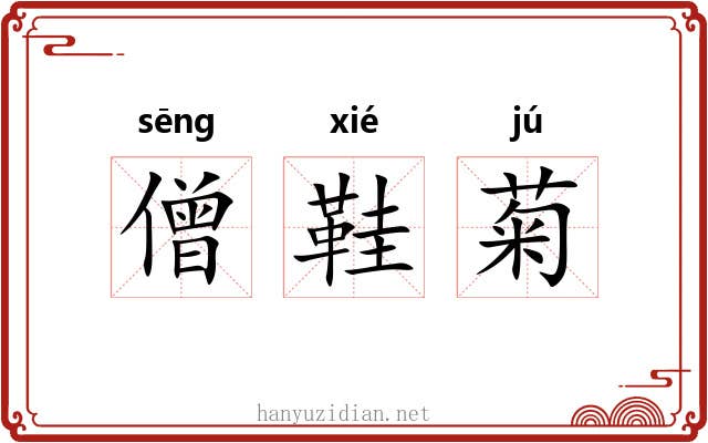 僧鞋菊