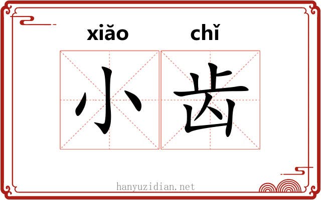 小齿 小齿