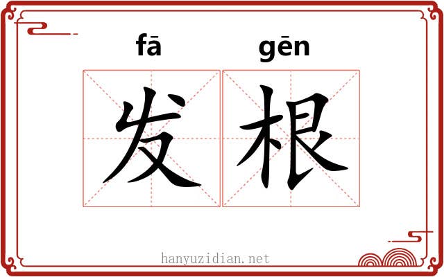 发根