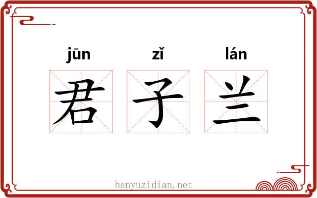 君子兰 君子兰