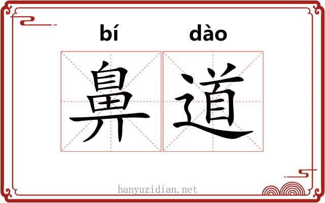 鼻道 鼻道