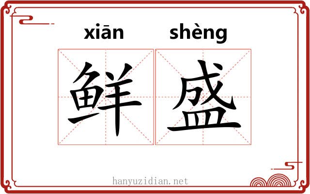 鲜盛 鲜盛