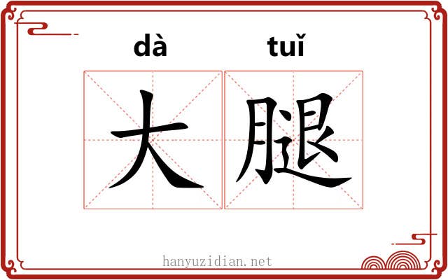 大腿 大腿