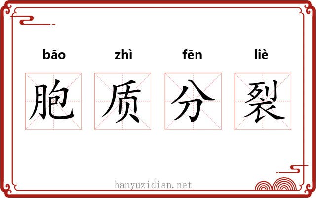 胞质分裂 胞质分裂