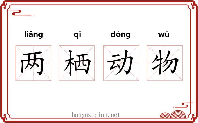 两栖动物