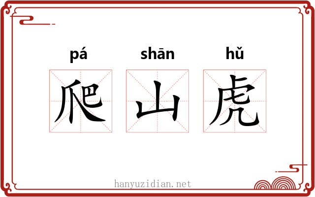 爬山虎 爬山虎
