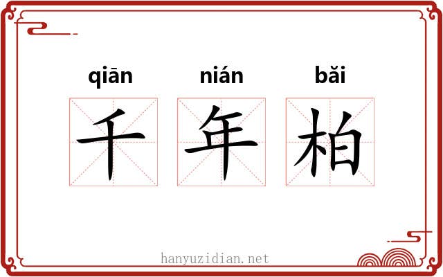 千年柏