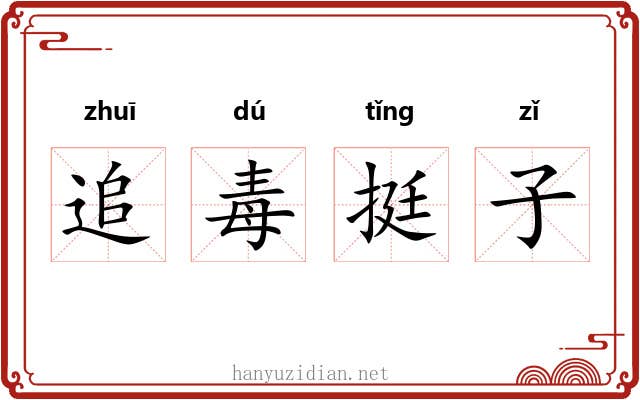 追毒挺子 追毒挺子