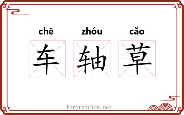 车轴草