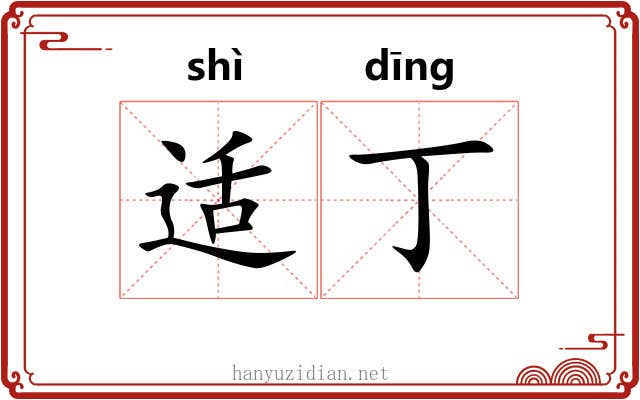 适丁