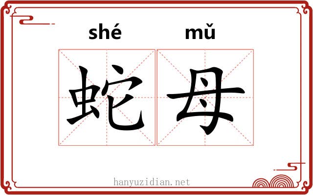 蛇母