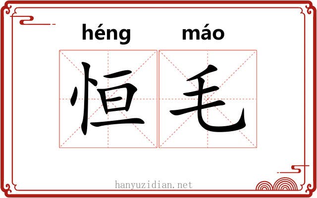 恒毛 恒毛