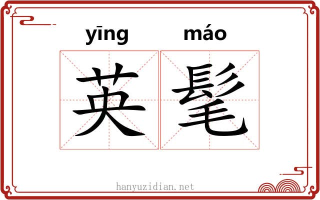 英髦