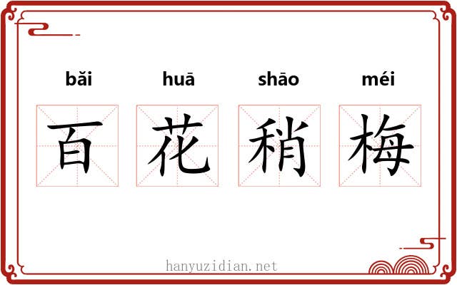 百花稍梅 百花稍梅
