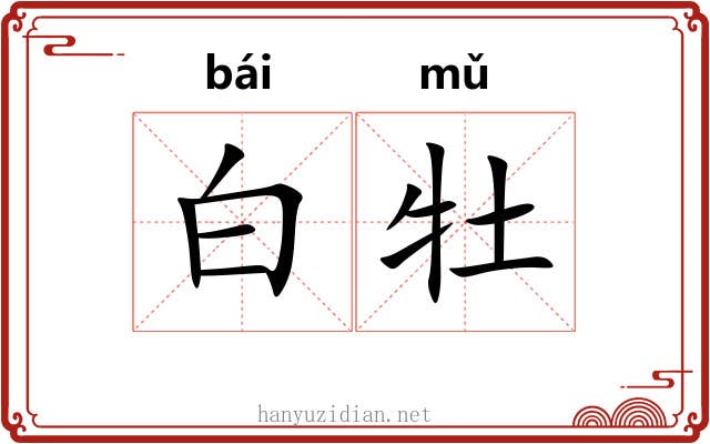 白牡 白牡
