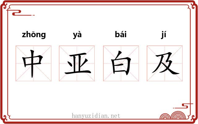 中亚白及 中亚白及