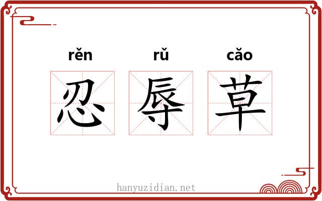 忍辱草 忍辱草