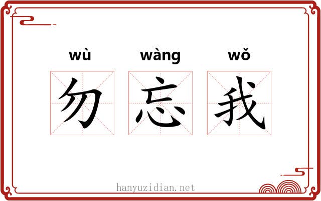 勿忘我
