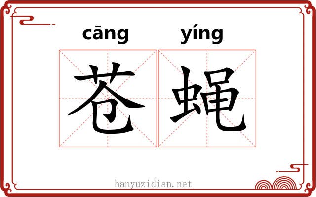苍蝇
