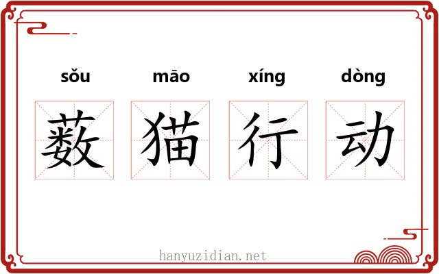 薮猫行动