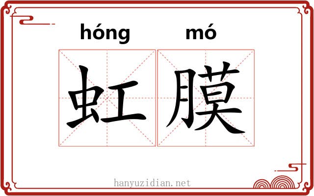 虹膜