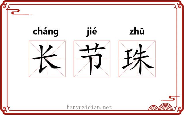 长节珠 长节珠