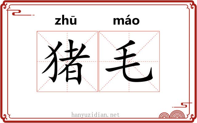 猪毛