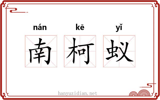 南柯蚁