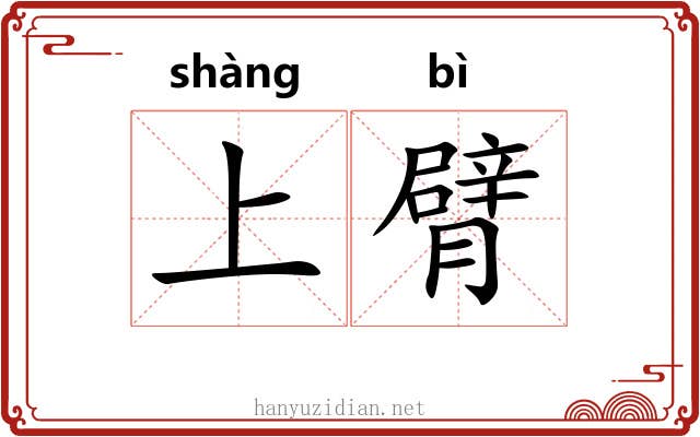 上臂 上臂