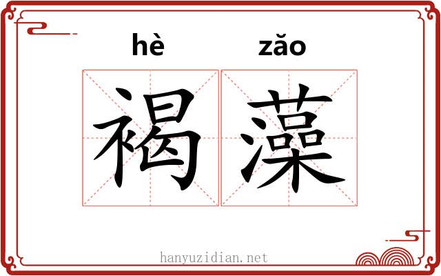 褐藻 褐藻