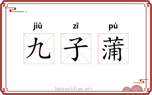 九子蒲 九子蒲