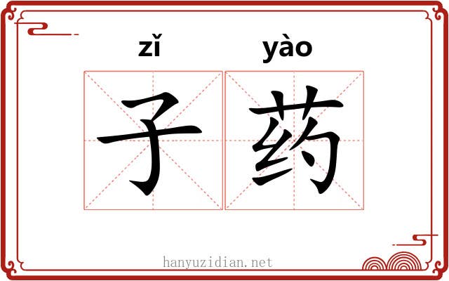 子药