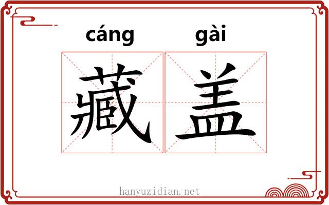 藏盖 藏盖