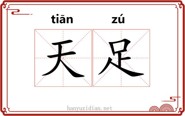 天足 天足